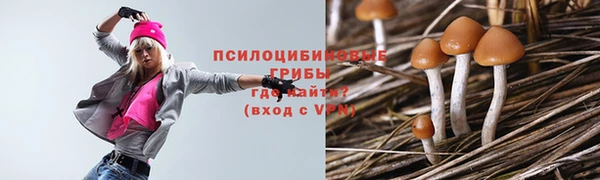 мдпв Рославль
