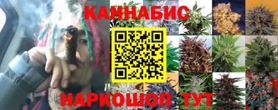 трава Абакан