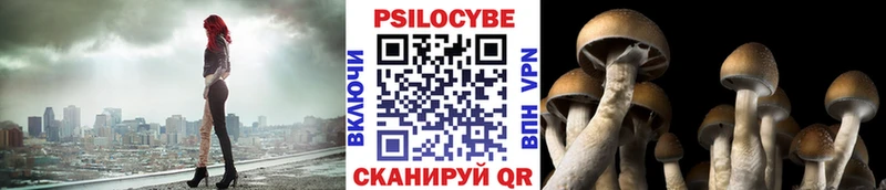 где продают наркотики  Алексин  Псилоцибиновые грибы Cubensis 