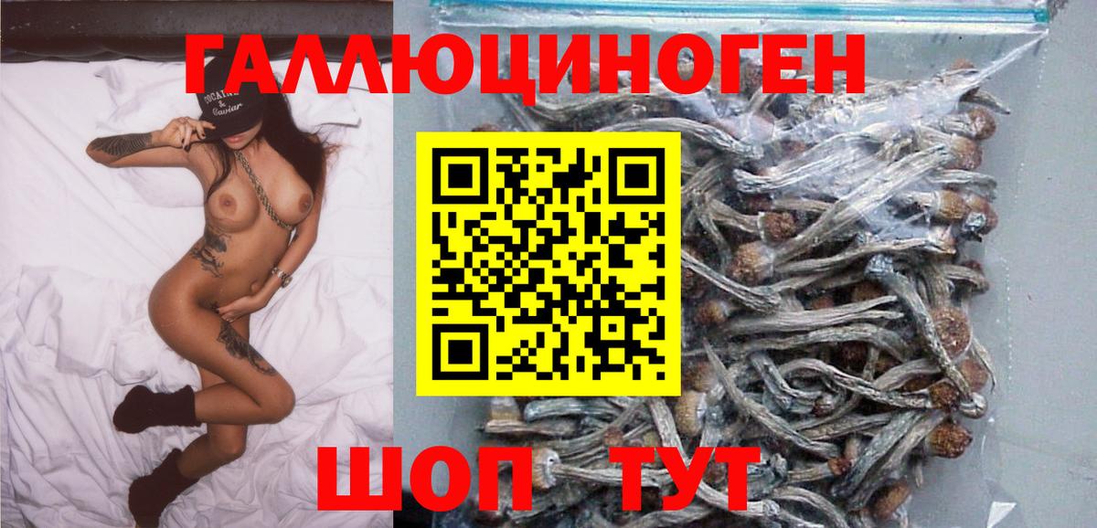 Псилоцибиновые грибы GOLDEN TEACHER Алексин