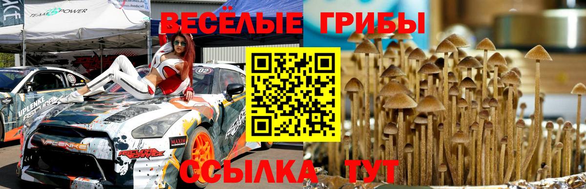 Алексин  Галлюциногенные грибы прущие грибы  где найти   Вход с VPN 